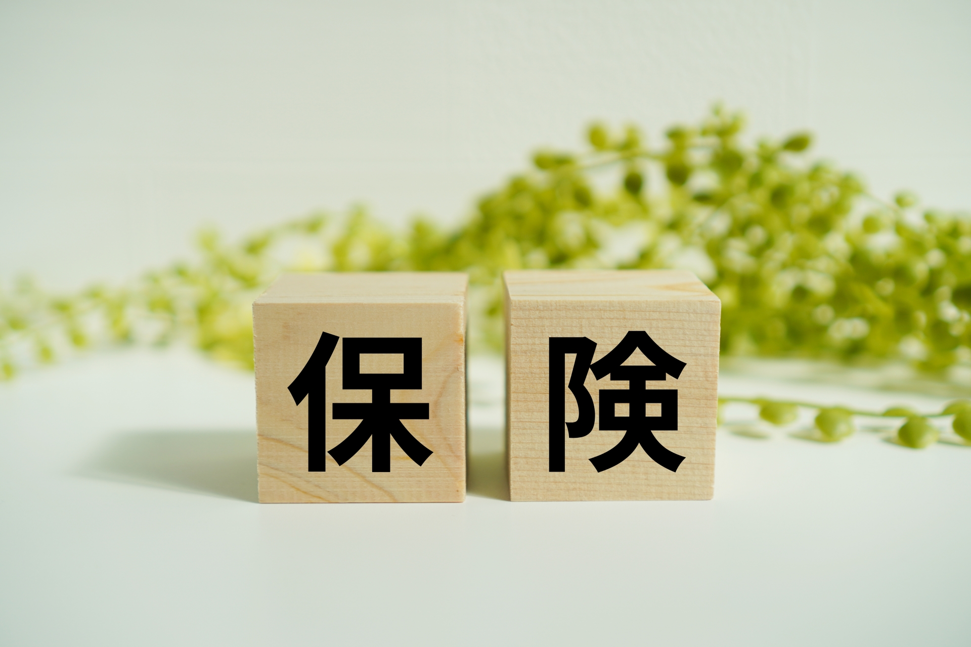 今すぐ相談！